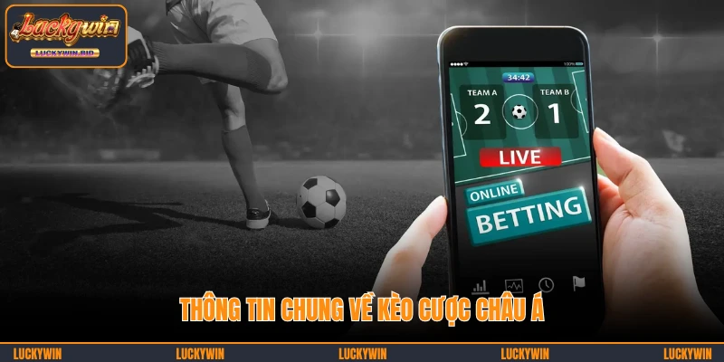 Thông tin chung về kèo cược châu Á